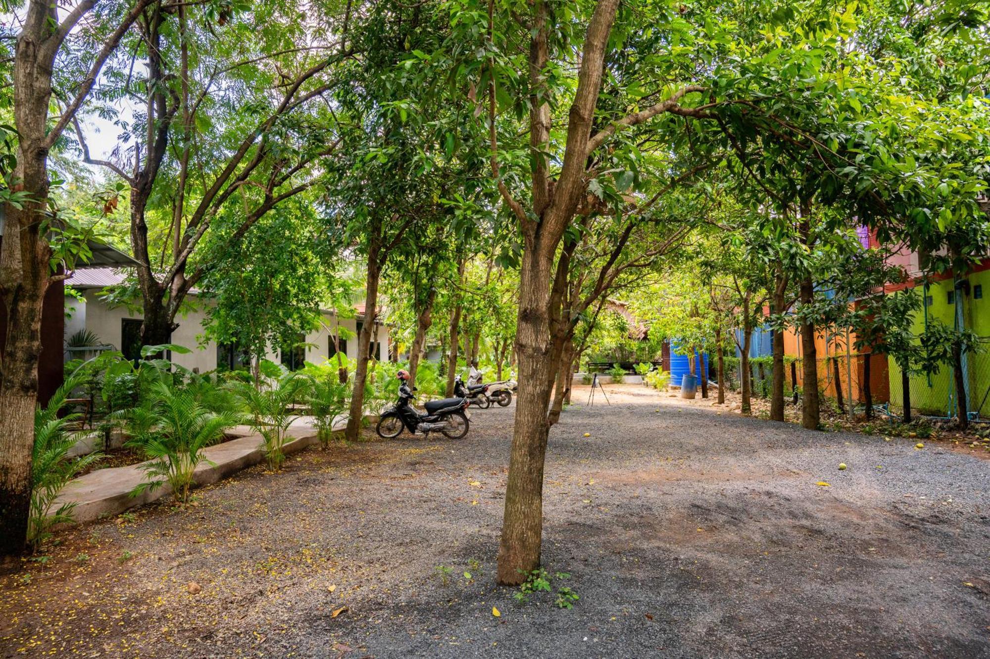 Banyan Tree Hostel Kampot Exterior foto